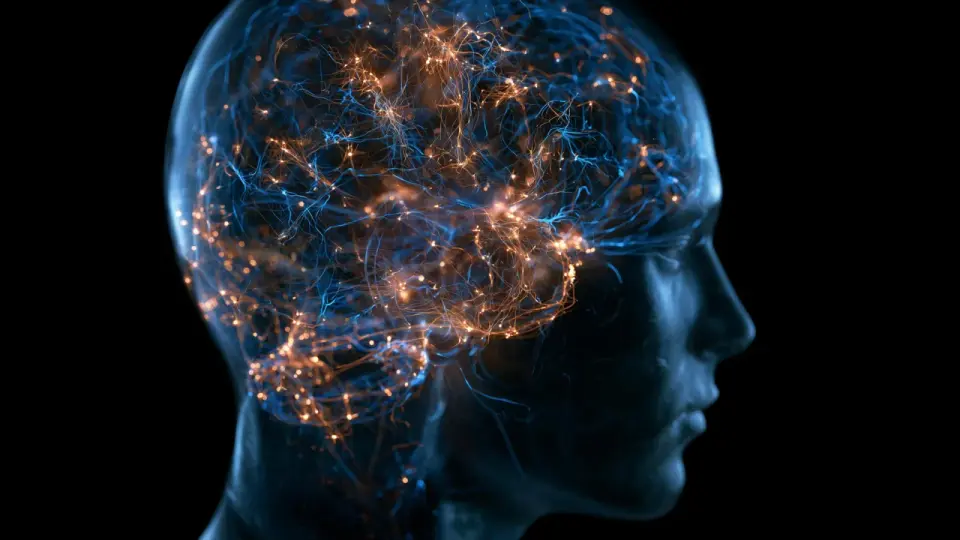 Midlife brain remodeling: immune cell shifts and genome architecture decline
