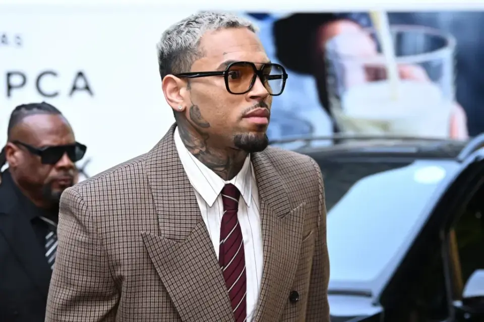 Jury Orders Chris Brown to Pay $13 Million in Guard Dog Mauling Case