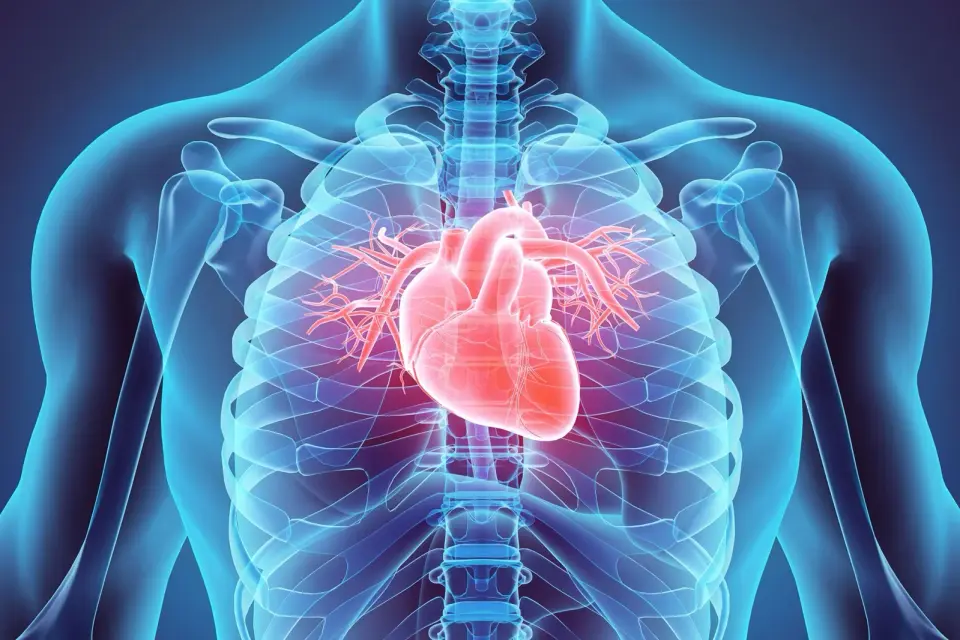 Flavanols Make the Difference: Why Five a Day Isn’t Always Heart-Protective