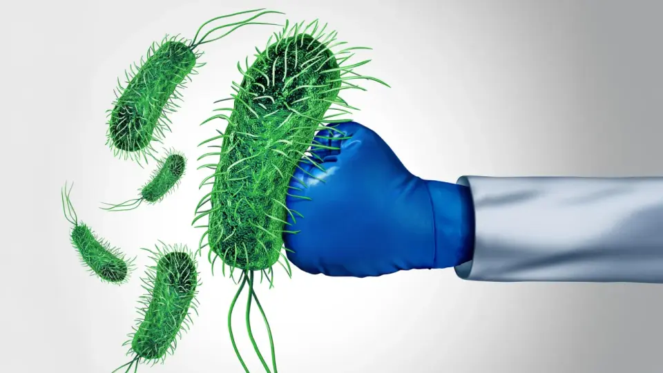 From skincare staple to potential antibiotic: madecassic acid fights drug-resistant bacteria