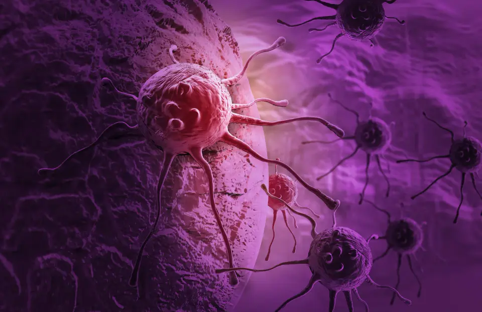 KRAS-targeting pancreatic cancer drug signals new era in lethal disease