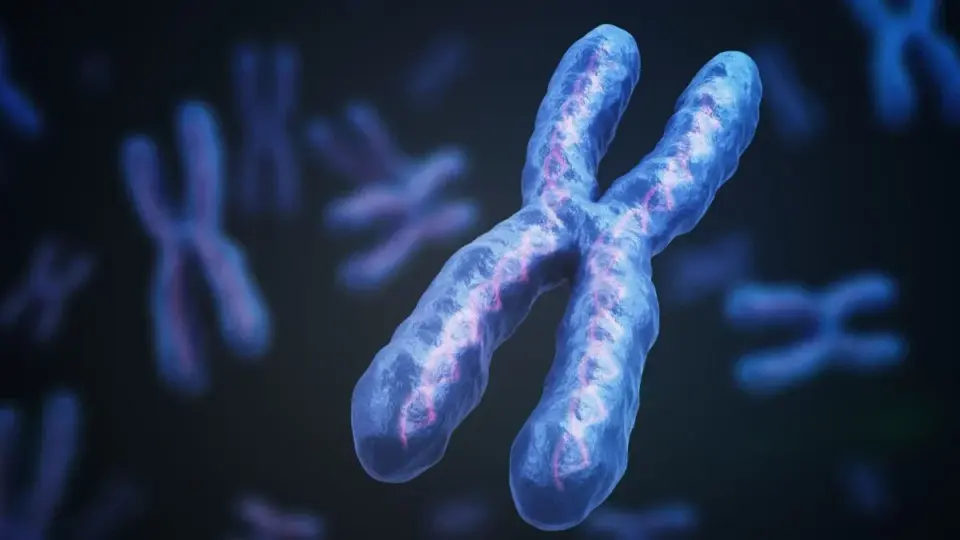 Researchers test CRISPR/XIST approach to turn off extra chromosome in Down syndrome cells