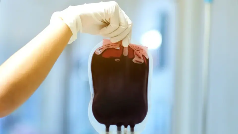 Could Alzheimer’s Pathology Be Transmitted Through Blood Transfusions?