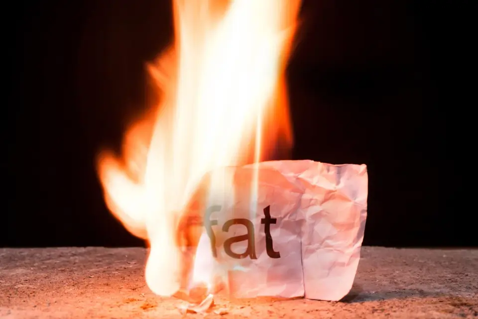 Hidden Switch in Brown Fat Could Boost Heat and Strengthen Bones