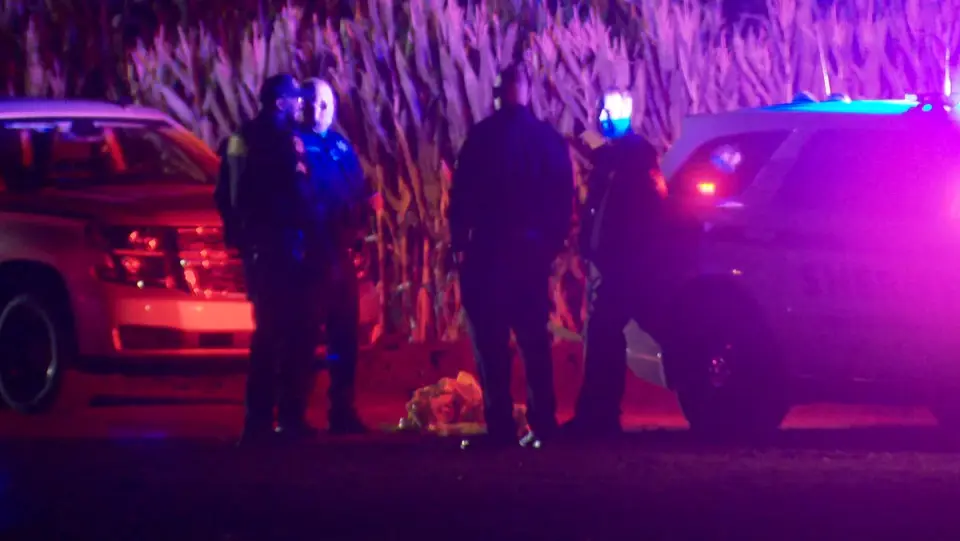 Stabbing at Dixon’s Cool Patch Pumpkins Leaves Two Hospitalized, One Arrested
