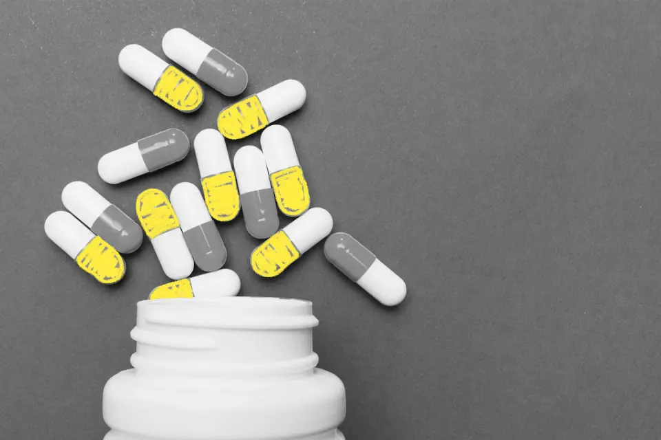 Rethinking probiotics: 3 strategies to protect your gut during antibiotics