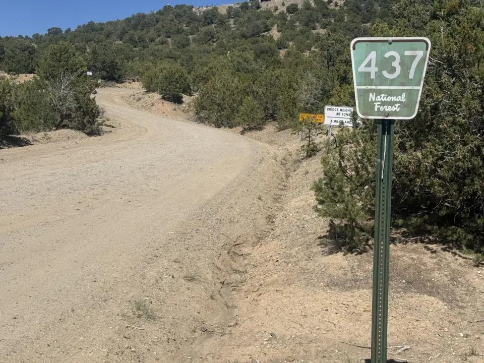 Remains Found Along Rio Chiquito Road Under Investigation Near Taos