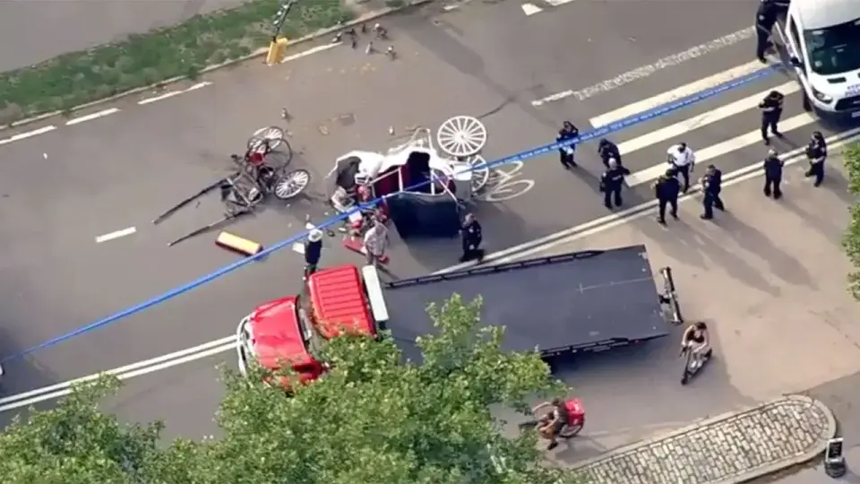 Tragic Central Park carriage crash kills 18-year-old tourist, spurring safety calls