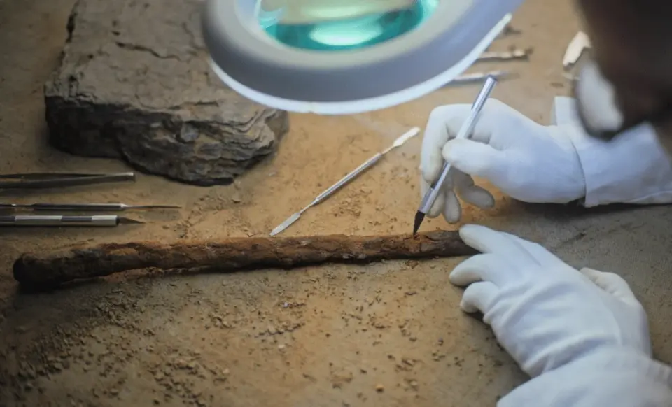 430,000-Year-Old Wood Tools Found in Greece Reframe Early Human Tech Timeline