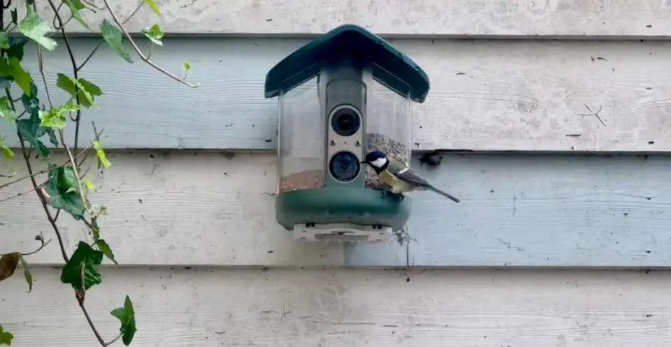 Smart bird feeders offer high-tech birdwatching but struggle with pest control