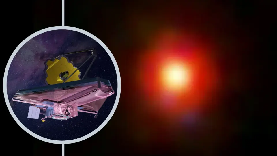 Little Red Dots Hint at Dense, Metal-Poor Hosts in the Early Universe