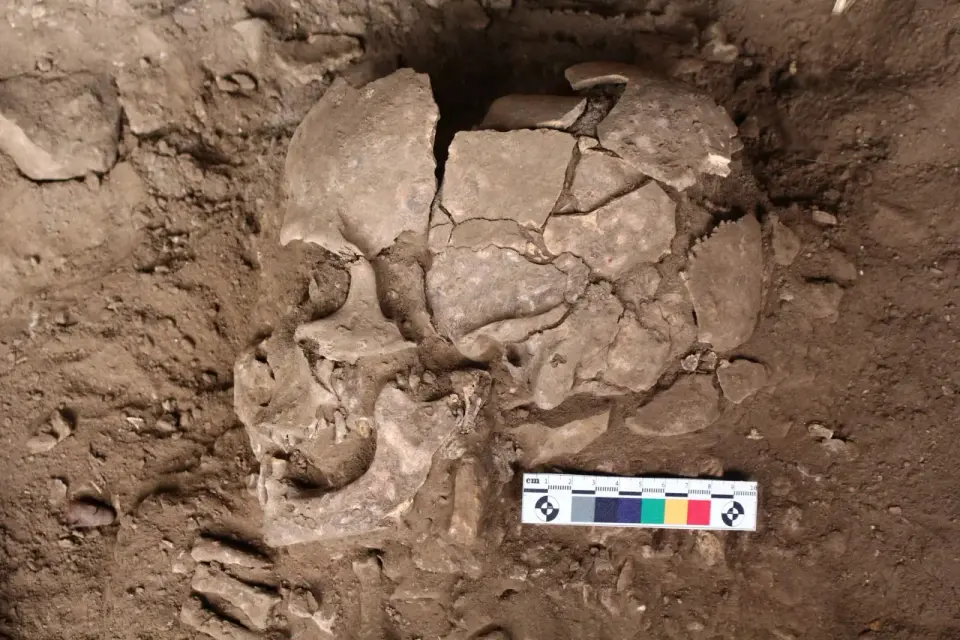 25,000-Year-Old Betel Nut Use Reveals Ancient Psychoactive Habit