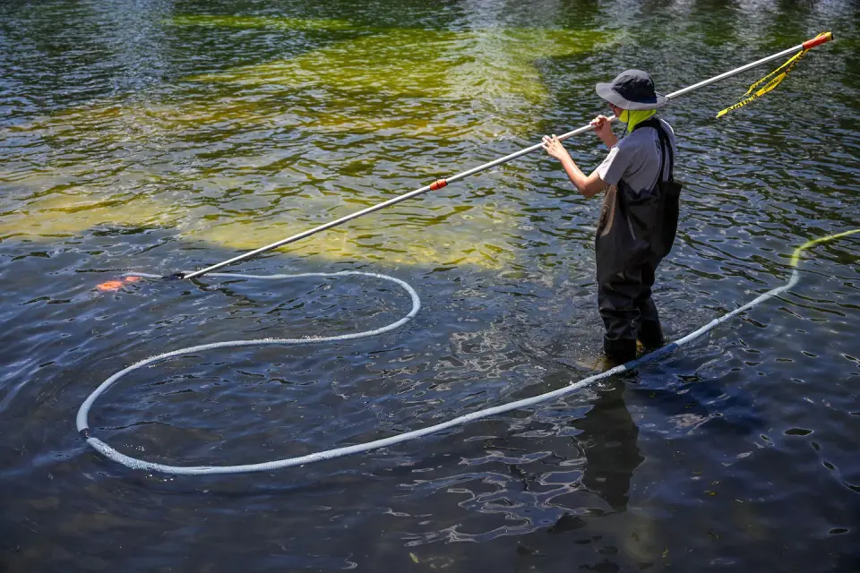 Cyclist denies vandalism after Reflecting Pool arrest during refurbishment