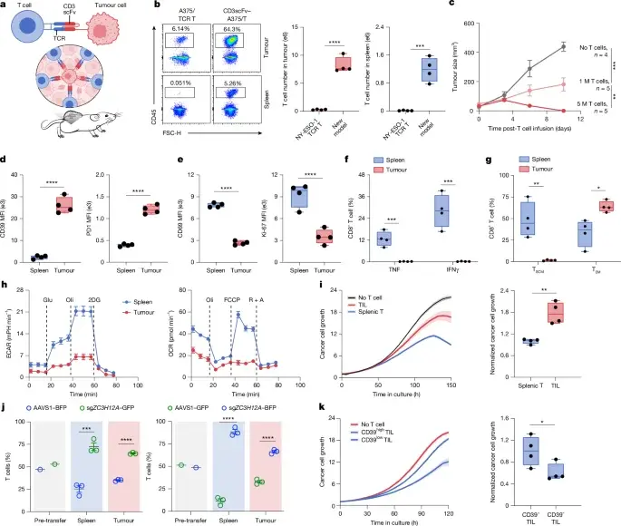 In vivo CRISPR screens reveal GPCR–GNAS axis as a brake on T cell therapy in solid tumors