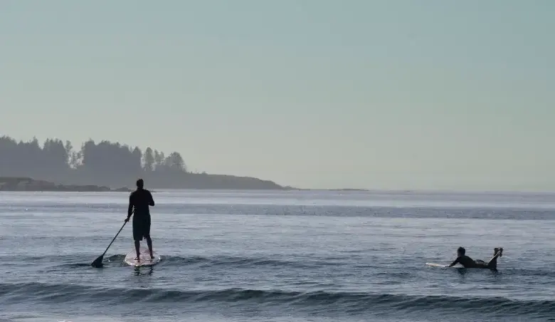 Scarborough lifeguard narrowly escapes underwater shark grab during rescue