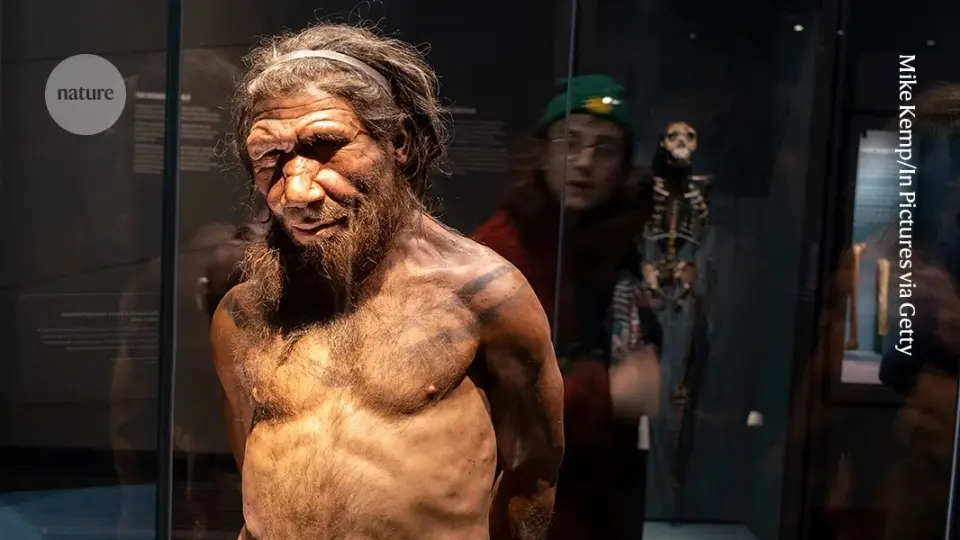 Ancient Neanderthal DNA Linked to Subtle Height and Muscle Gains in Modern Humans
